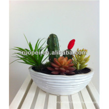 2014 Wholesale Artificial Cactus Plants Mini cactus